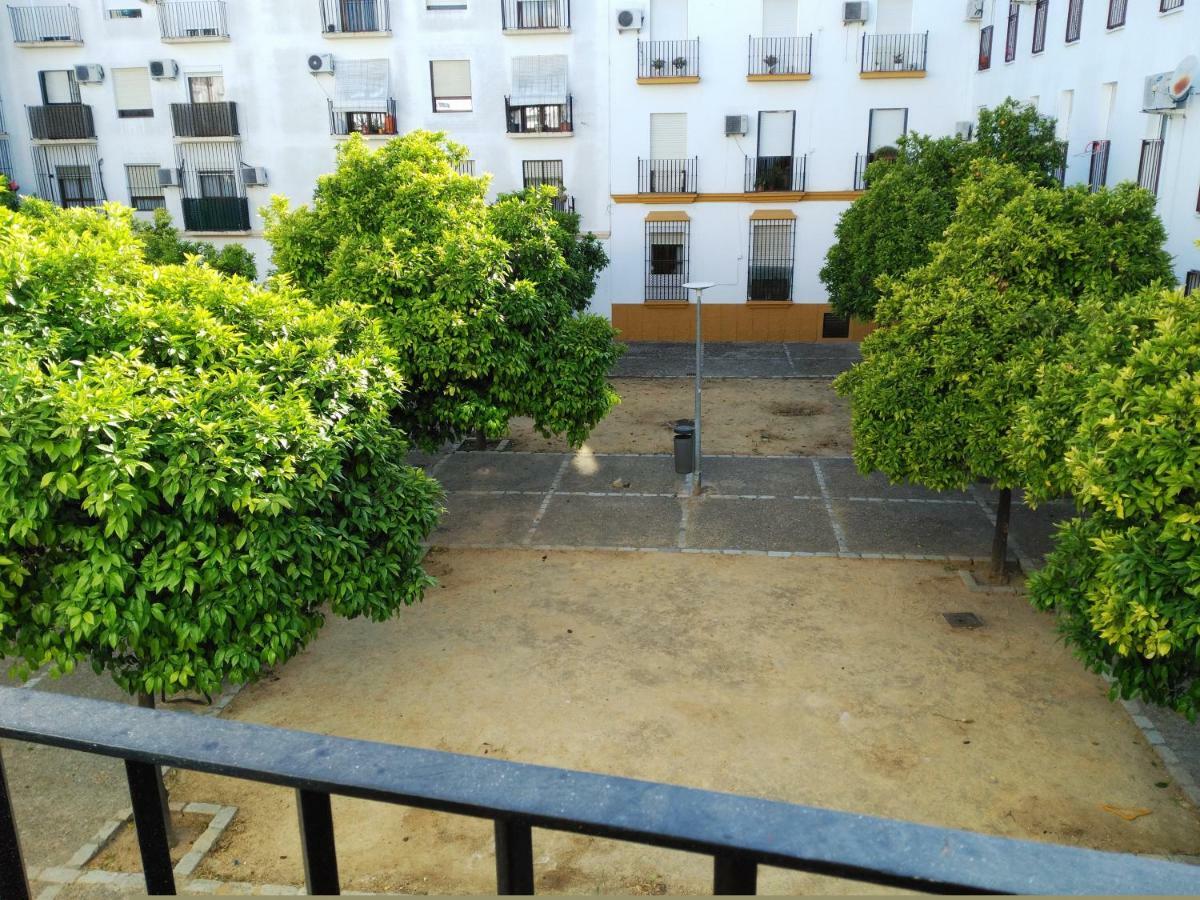 Apartamento Plaza Compania Jerez Jerez de la Frontera Eksteriør bilde